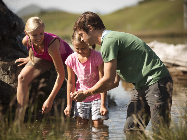 Stefflhof in Saalfelden