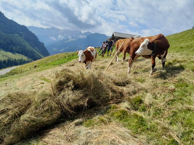 Ferienhaus Aschauhütte im Großarltal