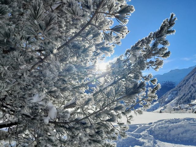 Ferienhaus Aschauhütte im Großarltal