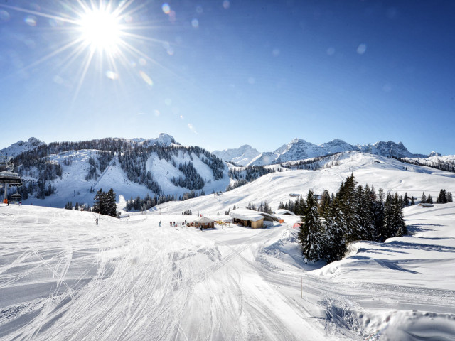 Appartement Mühlpointhof in Lofer