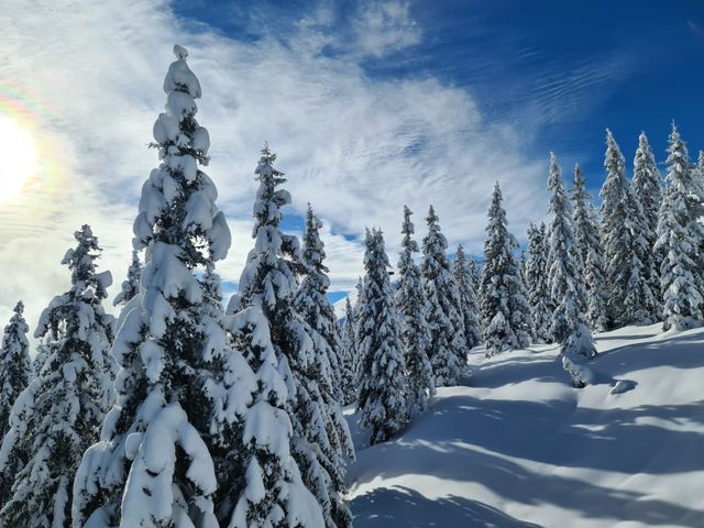 Energieparadies "Palfenhof" Bruck