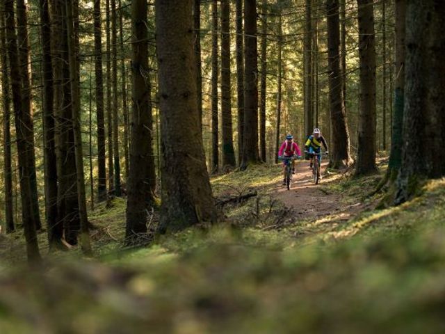 Alpenpension Lackenbauer