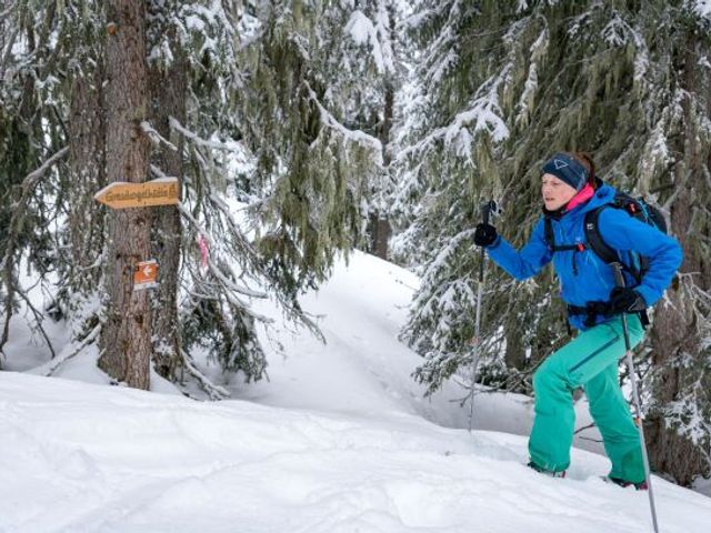 Alpenpension Lackenbauer