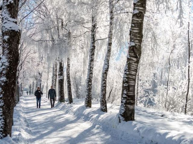 Alpenpension Lackenbauer