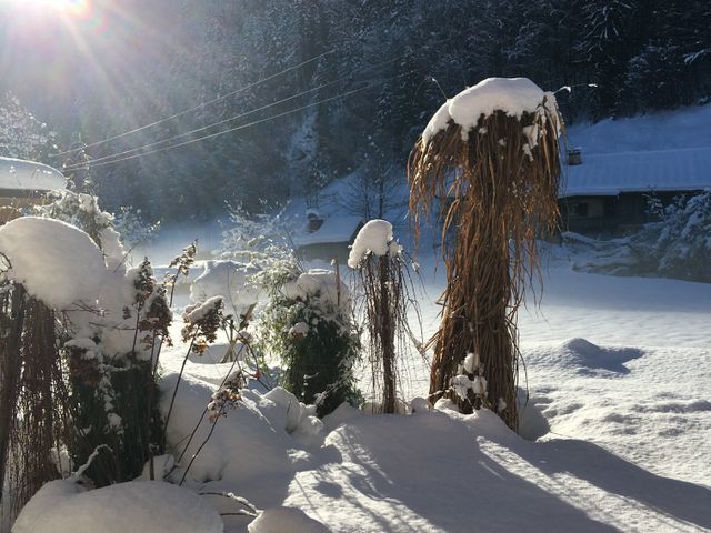 Ferienwohnungen am Moosbach